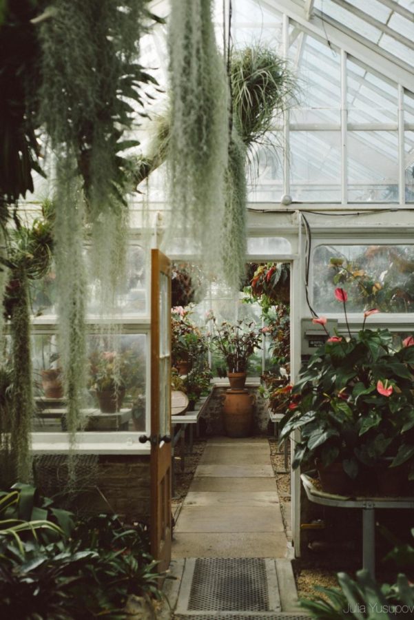 The+Greenhouse